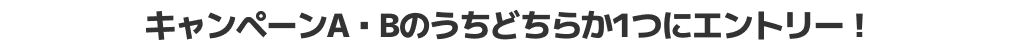 キャンペーンA・Bのうちどちらか1つにエントリー!