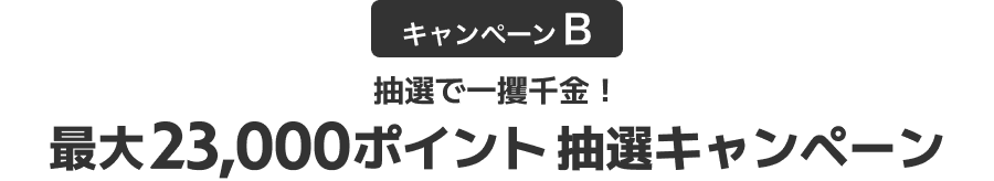 全員にもれなく当たる！総額230,000ポイント山分けキャンペーン