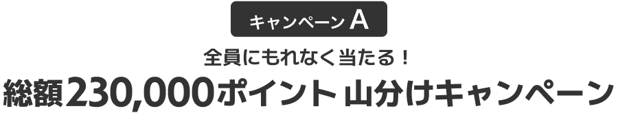 全員にもれなく当たる！総額230,000ポイント山分けキャンペーン