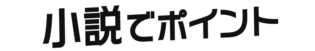小説でポイント